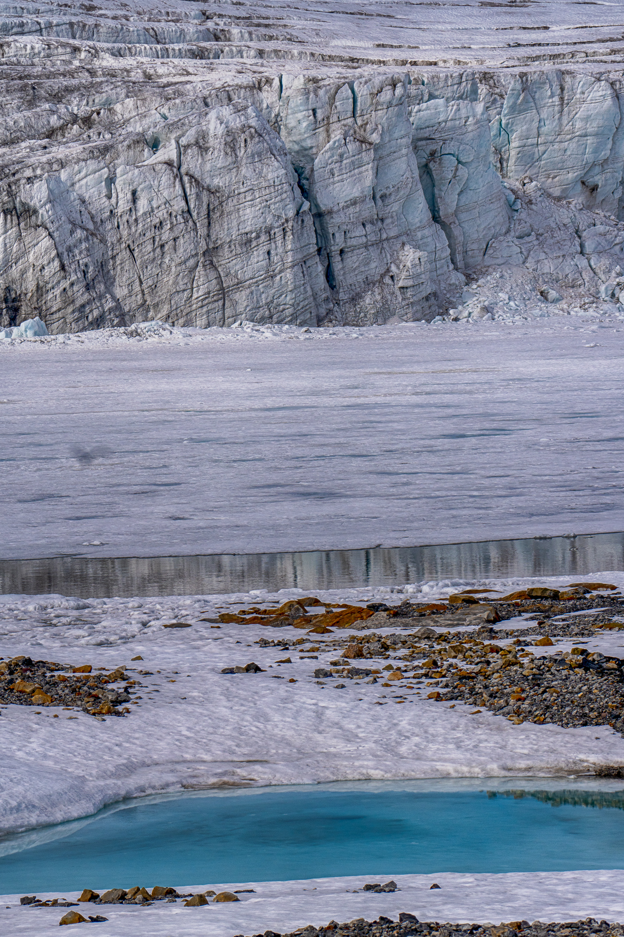  Harriet and Kjerulfbreen glacier 