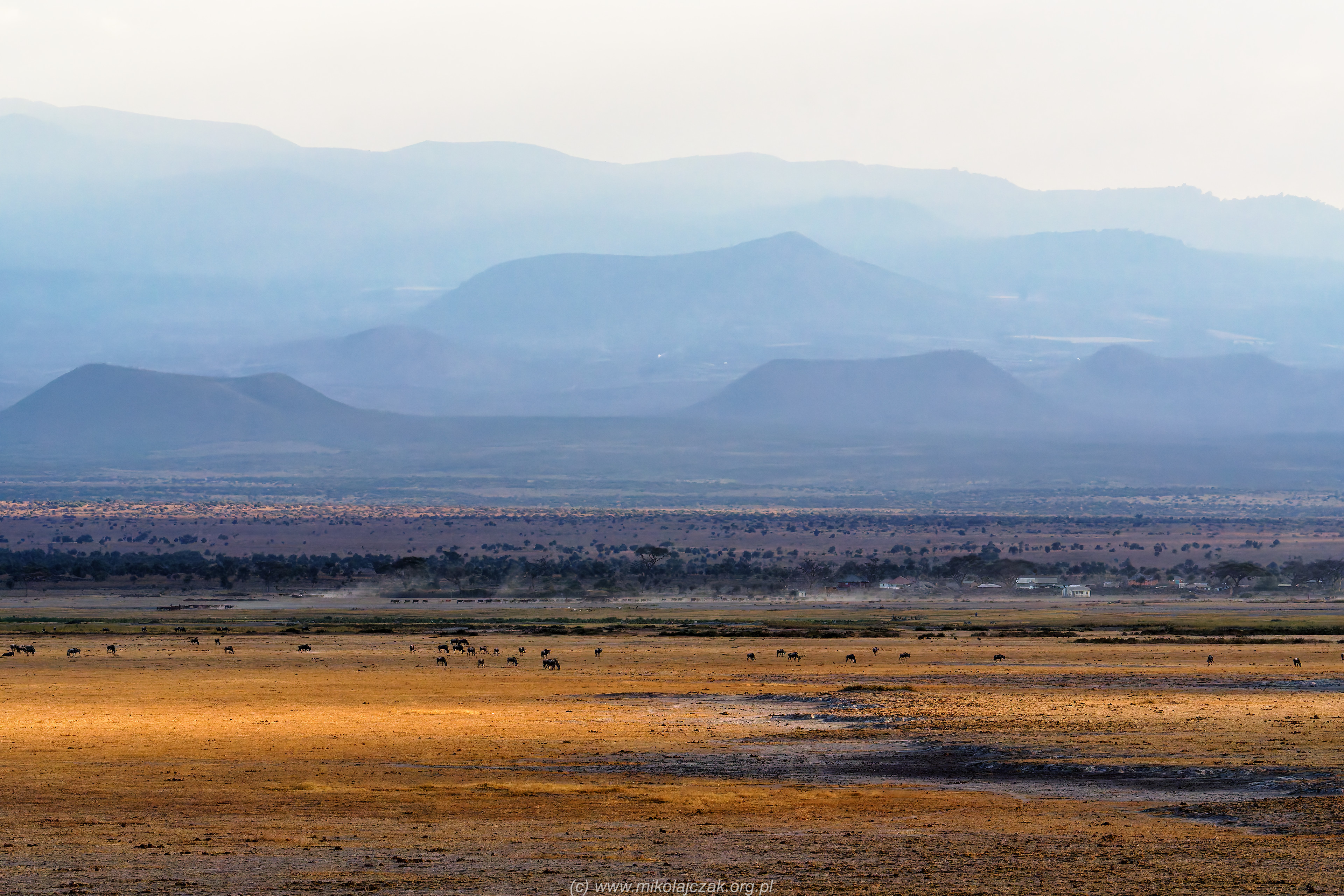 Amboseli National Parl 